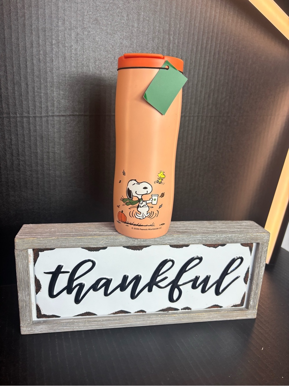 Starbucks Orange Snoopy Travel Tumbler - Insulated Stainless Steel